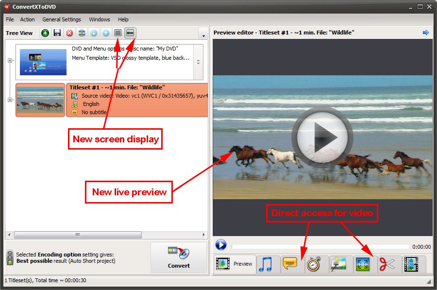 convert x to dvd