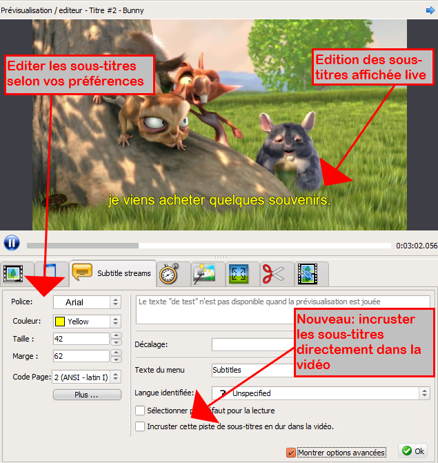 ConvertXToDVD2
