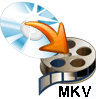 convert blu-ray to avi